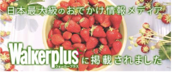 ウォーカープラスに掲載されました
